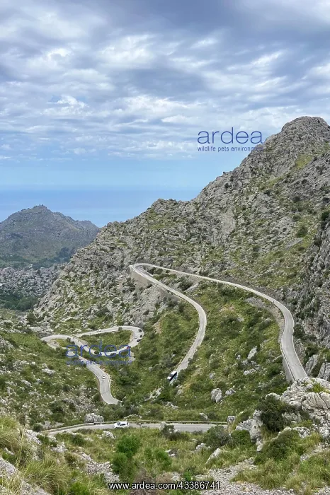 : The winding road from Sa Calobra to Coll dels Re : The winding road from Sa Calobra to Coll dels Re