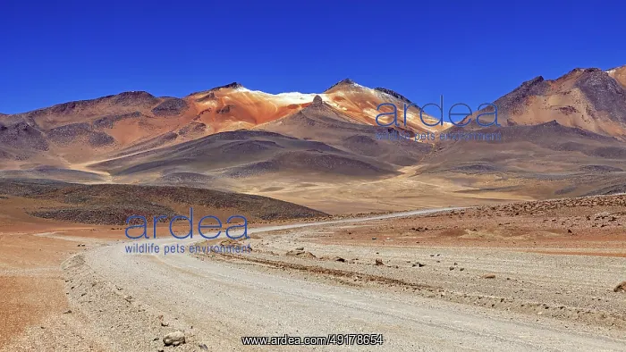 : A winding sandy road through a dry landscape with reddish mountain peaks and blue skies : A winding sandy road through a dry landscape with reddish mountain peaks and blue skies