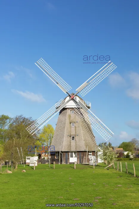  : Windmill Ahrenshoop