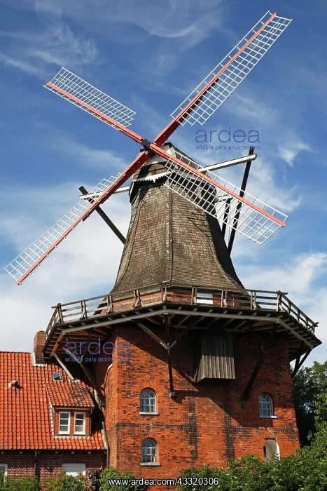 : Windmill Aurora, also Borsteler M&, x28b2582f;r M&, x28b2580a; : Windmill Aurora, also Borsteler M&, x28b2582f;r M&, x28b2580a;