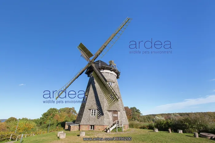 : Windmill Benz : Windmill Benz