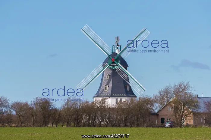 : Windmill Borgsum - island of Foehr - Germany : Windmill Borgsum - island of Foehr - Germany