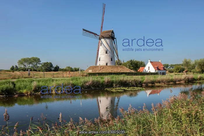 : Windmill - by canal : Windmill - by canal