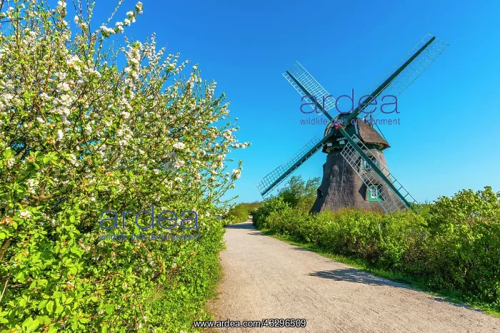  : Windmill Charlotte, earthen bollard from 1826, Nieby