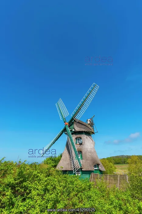 : Windmill Charlotte, earthen bollard from 1826, Nieby : Windmill Charlotte, earthen bollard from 1826, Nieby