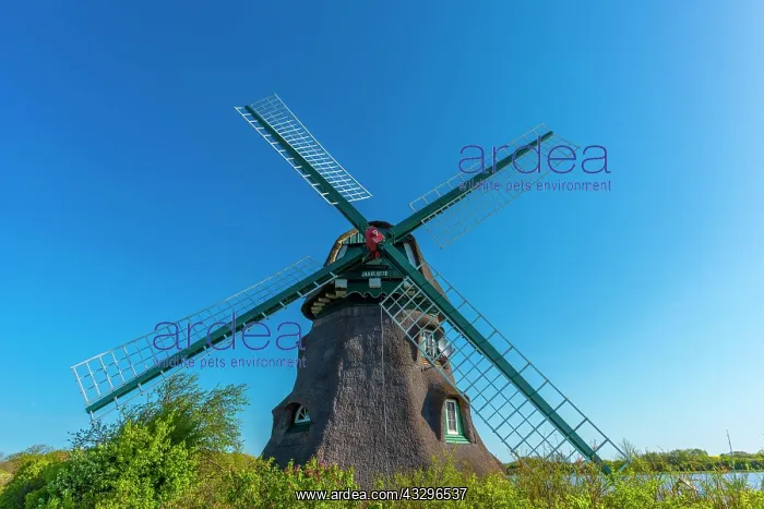 : Windmill Charlotte, earthen bollard from 1826, Nieby