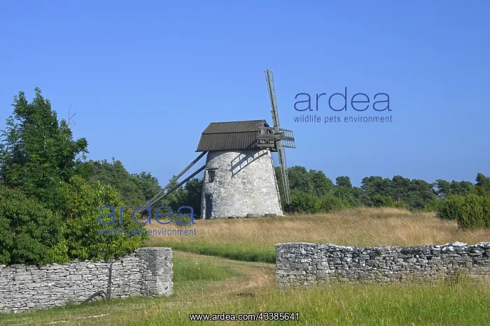 : Windmill in Dcmba, Gotland island, Sweden, Europe : Windmill in Dcmba, Gotland island, Sweden, Europe
