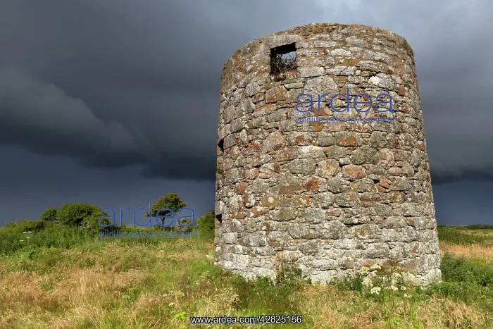 : Windmill Farm - Wildlife Trust Reserve : Windmill Farm - Wildlife Trust Reserve