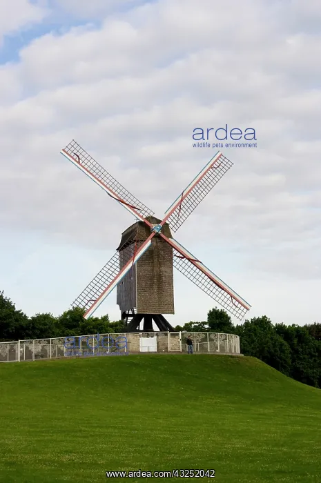 : Windmill on a hill in Bruges, Belgium, Europe : Windmill on a hill in Bruges, Belgium, Europe