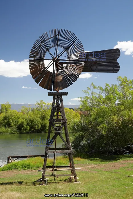 : Windmill and Macquarie River, Woolmers Estate : Windmill and Macquarie River, Woolmers Estate
