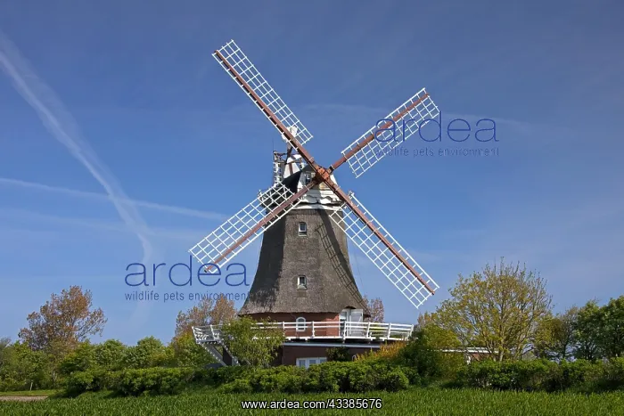 : Windmill in Oldsum on the island of Fnhr, Northern : Windmill in Oldsum on the island of Fnhr, Northern
