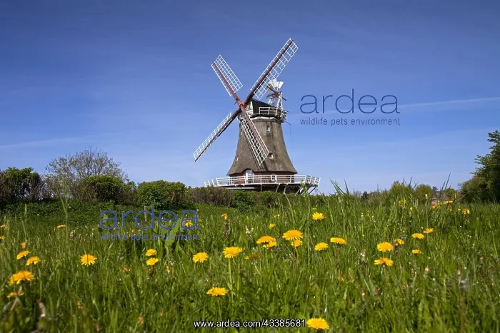 : Windmill in Oldsum on the island of Fnhr, Northern : Windmill in Oldsum on the island of Fnhr, Northern