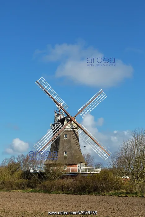  : Windmill Oldsum - island of Foehr - Germany
