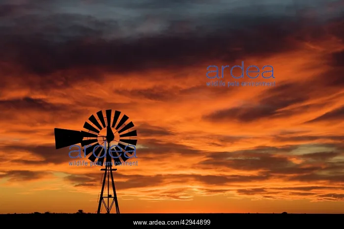  : Windmill on the Patagonian steppe at sunset, on
