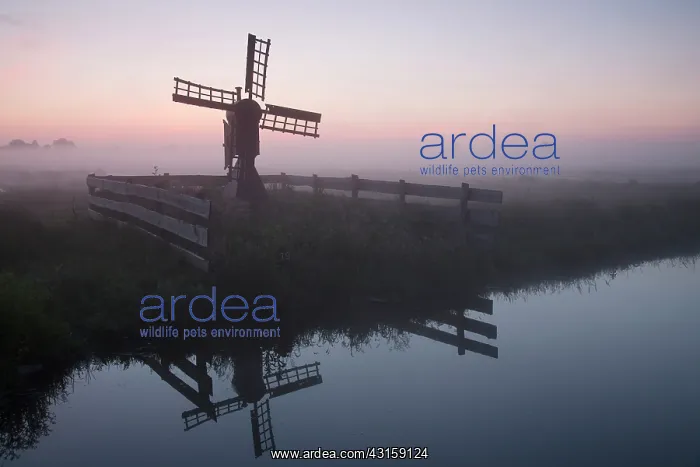 : Windmill in the polder at sunrise : Windmill in the polder at sunrise