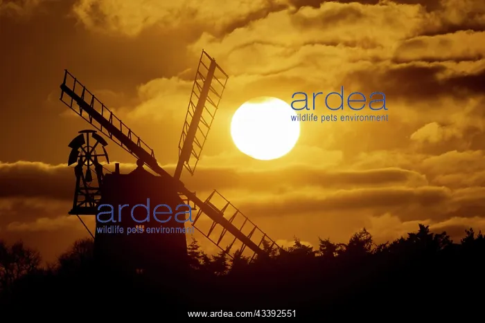 : Windmill silhouetted at sunset with a red sky and : Windmill silhouetted at sunset with a red sky and