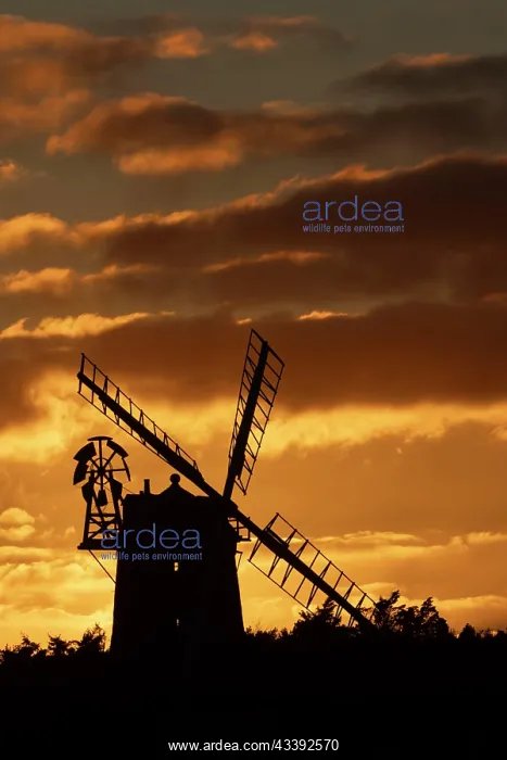 : Windmill silhouetted at sunset with a red sky and : Windmill silhouetted at sunset with a red sky and