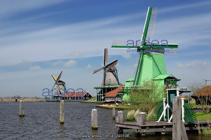 : Windmill, Zaanse Schans, Holland, Netherlands : Windmill, Zaanse Schans, Holland, Netherlands