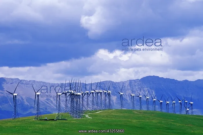  : Windmills at Pincher Creek, Alberta, Canada