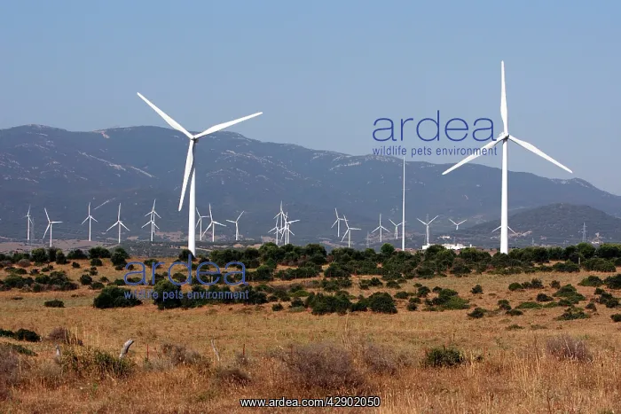 : Windmills / Turbines at wind farm near Tarifa : Windmills / Turbines at wind farm near Tarifa