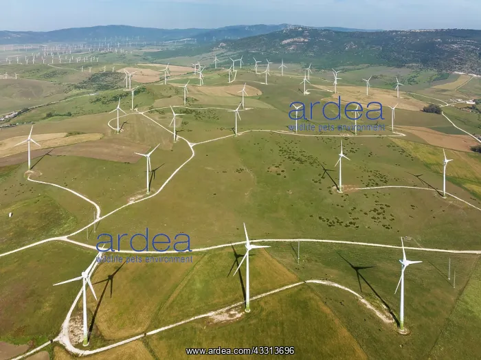 : Windmills on a wind farm near Zahara de los Atunes : Windmills on a wind farm near Zahara de los Atunes