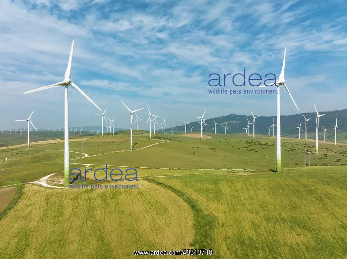  : Windmills on a wind farm near Zahara de los Atunes