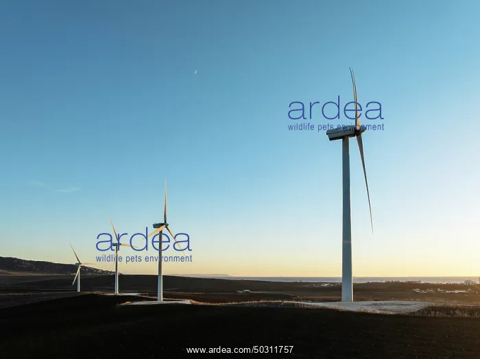 : Windmills on a wind farm near Zahara de los Atunes : Windmills on a wind farm near Zahara de los Atunes