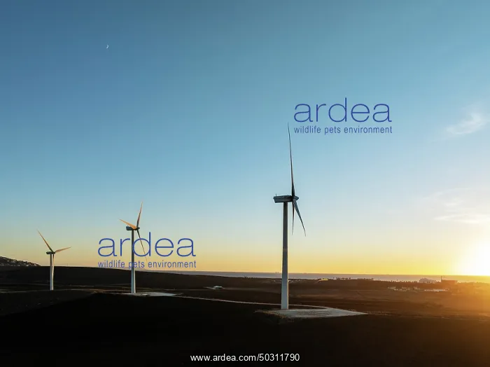 : Windmills on a wind farm near Zahara de los Atunes : Windmills on a wind farm near Zahara de los Atunes