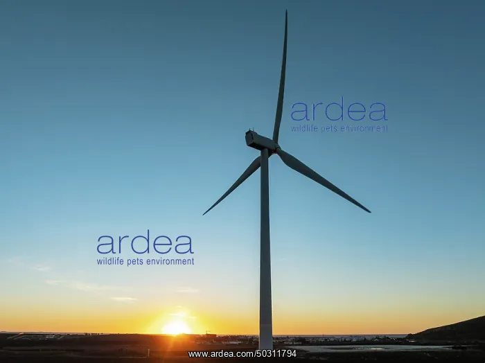 : Windmills on a wind farm near Zahara de los Atunes : Windmills on a wind farm near Zahara de los Atunes