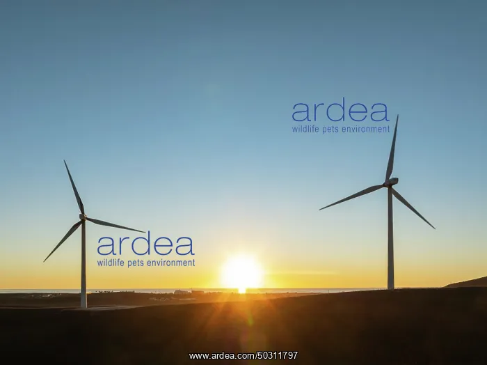 : Windmills on a wind farm near Zahara de los Atunes : Windmills on a wind farm near Zahara de los Atunes