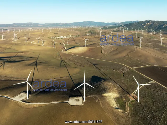  : Windmills on a wind farm near Zahara de los Atunes