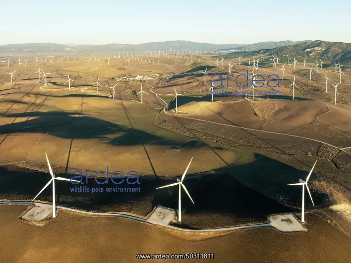 : Windmills on a wind farm near Zahara de los Atunes : Windmills on a wind farm near Zahara de los Atunes
