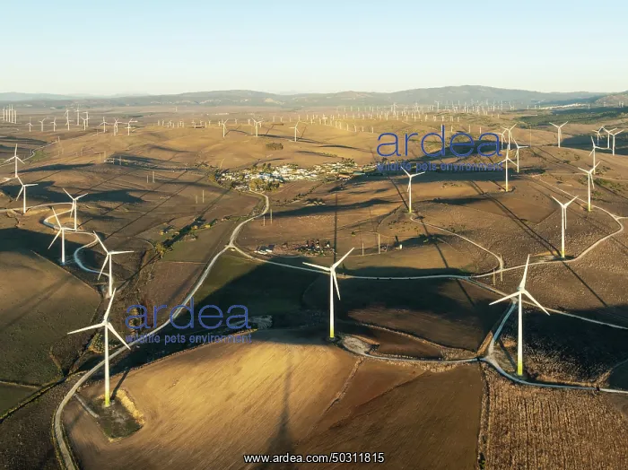 : Windmills on a wind farm near Zahara de los Atunes : Windmills on a wind farm near Zahara de los Atunes