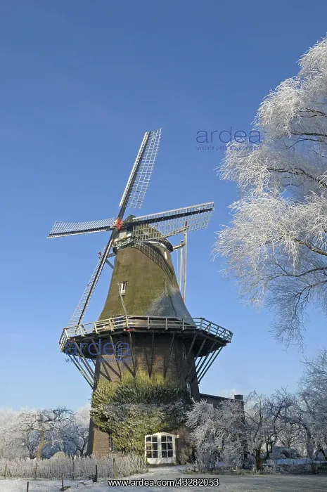 : windmolen : windmolen