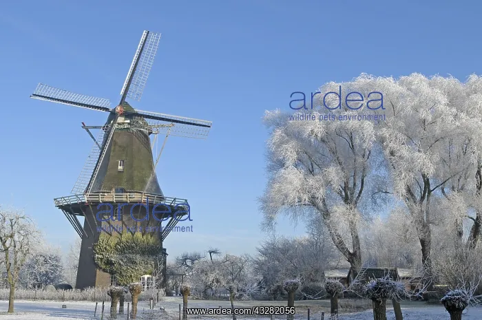 : windmolen : windmolen
