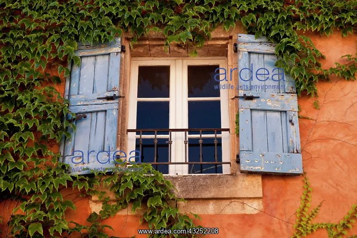 : Window with blue shutters in Roussillon : Window with blue shutters in Roussillon