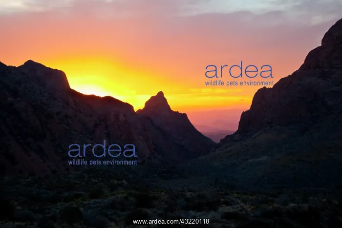  : The Window in Chisos Mountains at sunset