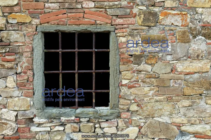 : Window with metal bars on ancient stone : Window with metal bars on ancient stone