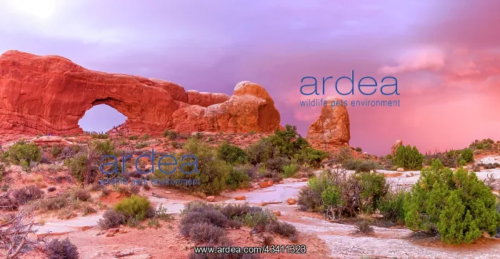 : Windows. Arches National Park. Utah, USA : Windows. Arches National Park. Utah, USA