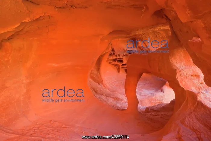 : Windstone - erosion sculpted arch inside a cave-like : Windstone - erosion sculpted arch inside a cave-like