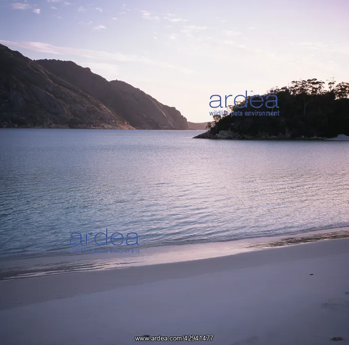 : Wineglass Bay, Freycinet National Park, Tasmania, Australia : Wineglass Bay, Freycinet National Park, Tasmania, Australia