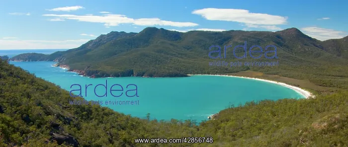 : Wineglass Bay - and surrounding mountains seen : Wineglass Bay - and surrounding mountains seen