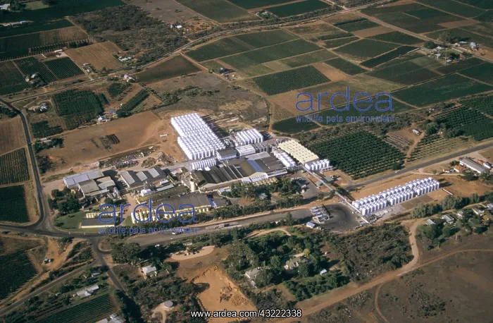 : Winery. Aerial, Berri Estates, largest winery in Southern Hemisphere : Winery. Aerial, Berri Estates, largest winery in Southern Hemisphere