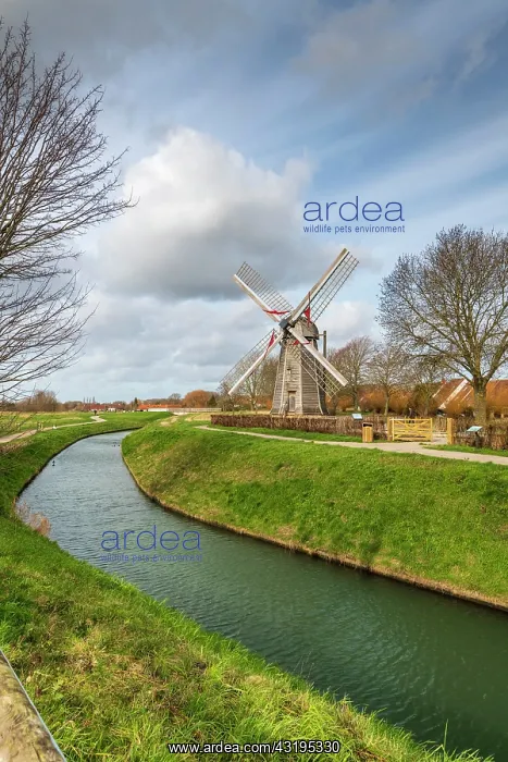 : The wing mill in Saint-Martin-au-Laert, Pas-de-Calais : The wing mill in Saint-Martin-au-Laert, Pas-de-Calais