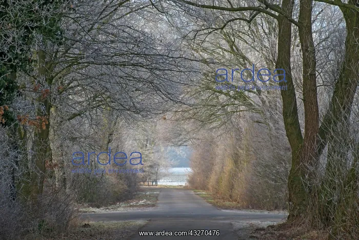 : Winter : Winter