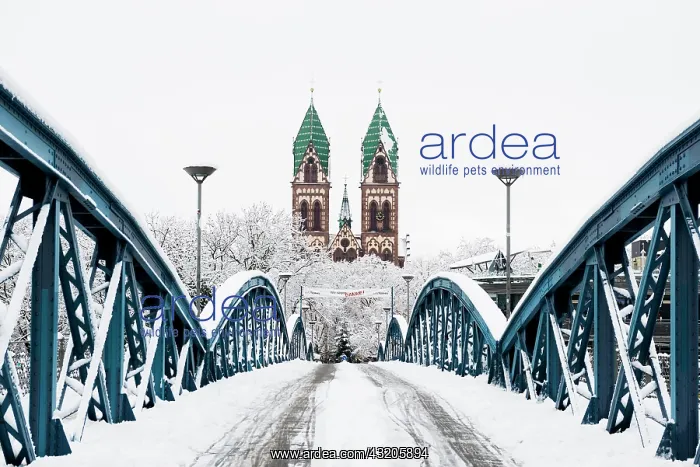 : Winter atmosphere with snow, Blue Bridge and Stahlinger : Winter atmosphere with snow, Blue Bridge and Stahlinger