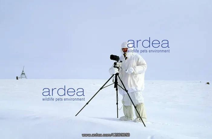 : Winter camouflage for a wildlife video-shoot for : Winter camouflage for a wildlife video-shoot for