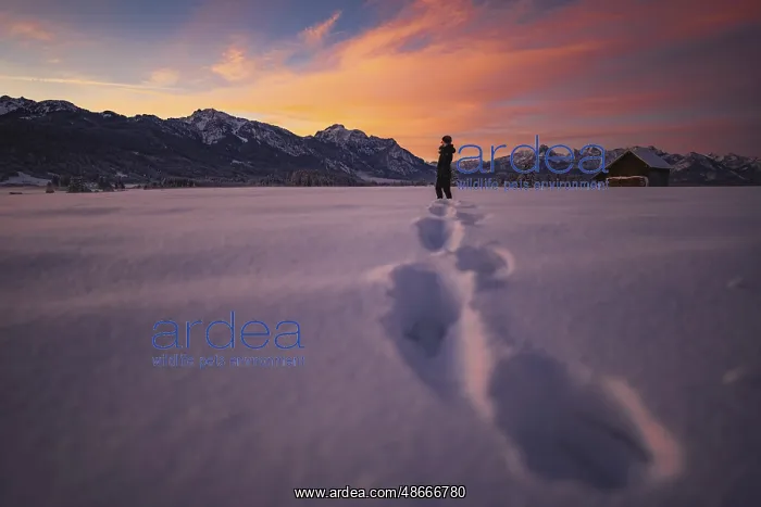 : Winter landscape in the Allgic u near Halblech at sunrise : Winter landscape in the Allgic u near Halblech at sunrise