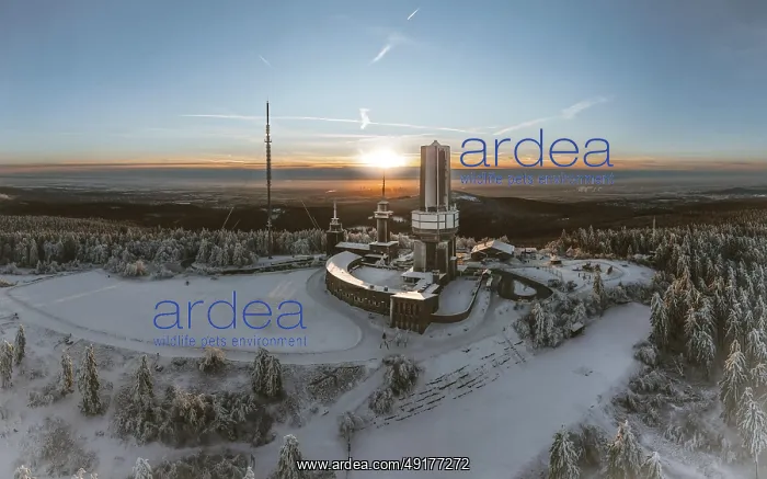 : Winter landscape with atmospheric sunset : Winter landscape with atmospheric sunset