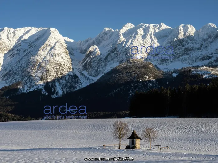 : Winter landscape, chapel in front of Grimming mountain : Winter landscape, chapel in front of Grimming mountain